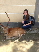 Deer